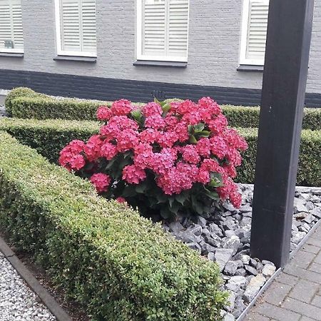 Sfeervolle 2 Persoons Studio In Bakkeveen Kültér fotó